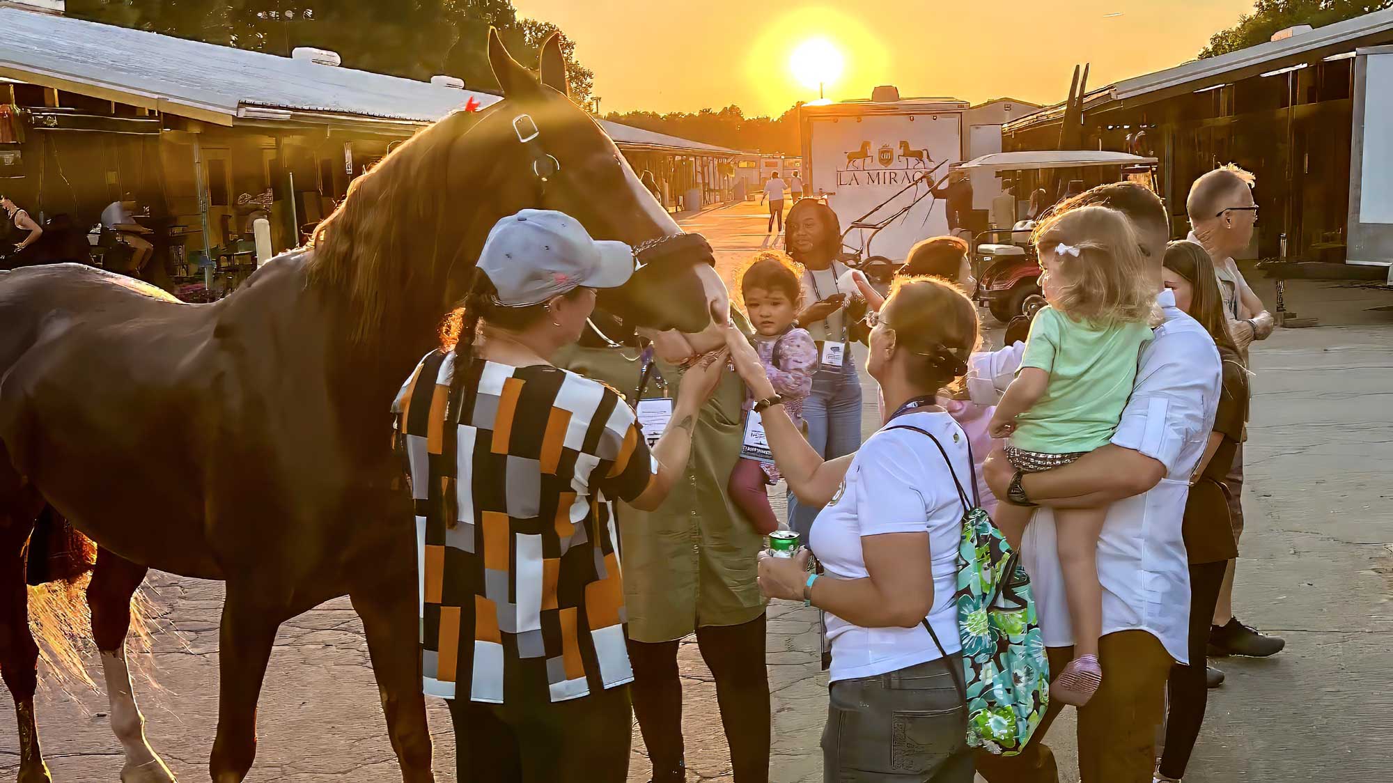 2025 Operation HRS families meeting horses